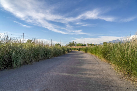 水泥路的特写,在青草掩映的蓝天和高山之间照片