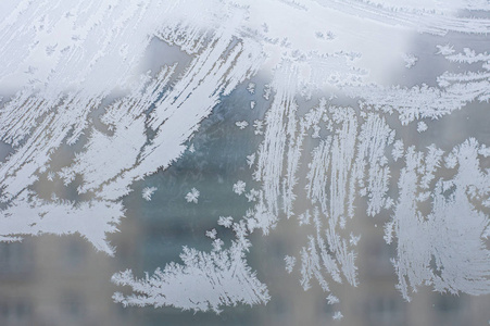 雪花 森林 寒冷的 风景 冷冰冰的 特写镜头 季节 晶体