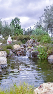 花园或公园中的垂直框架水景图片