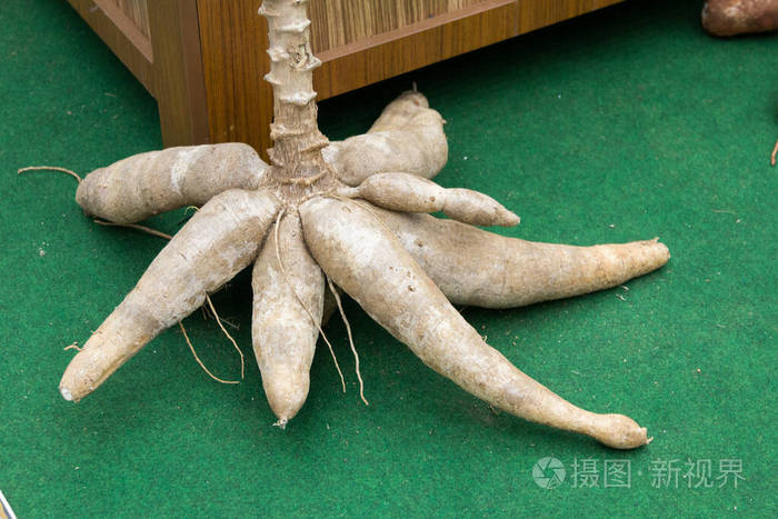 木薯鳞茎堆特写照片-正版商用图片27hhuh-摄图新视界