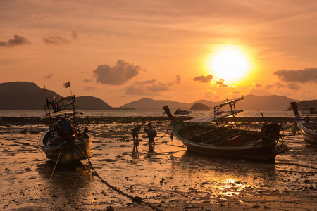 自然 日落 太阳 黄昏 傍晚 夏天 地平线 风景 海滩 海岸