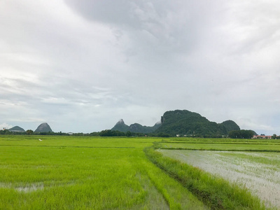 泰国法塔隆的稻田和山区洪水