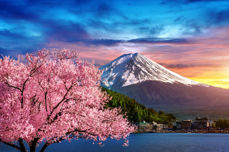 富士山和樱花在春天，日本。