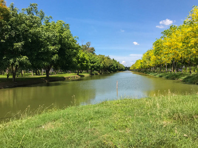泰国公园里有树的池塘