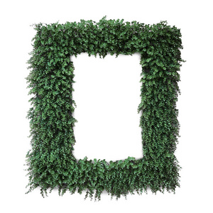 装饰理念绿色植物叶形框架隔离
