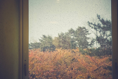 昨天下的雨图片