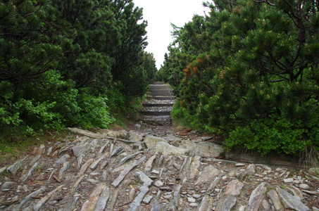 从斯内兹卡山夏季景观，克尔科诺泽捷克共和国