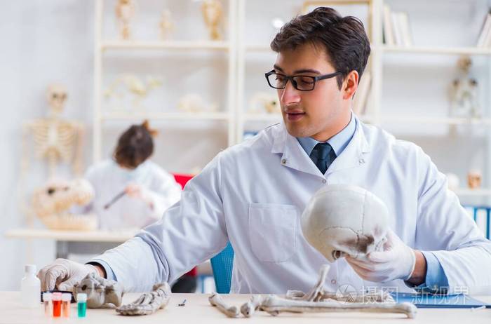 在实验室研究人体骨骼的教授