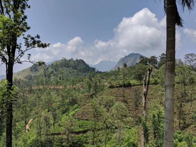 小山 自然 天空 美女 季节 春天 草地 丘陵 植物 旅游业