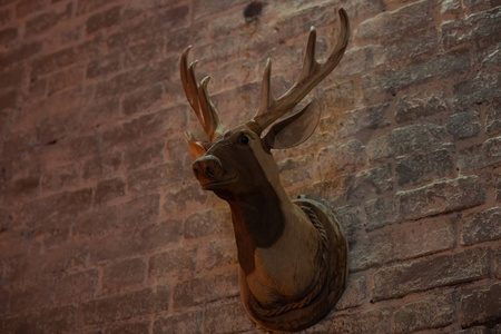 砖墙上的木制鹿头，室内装饰，图案。