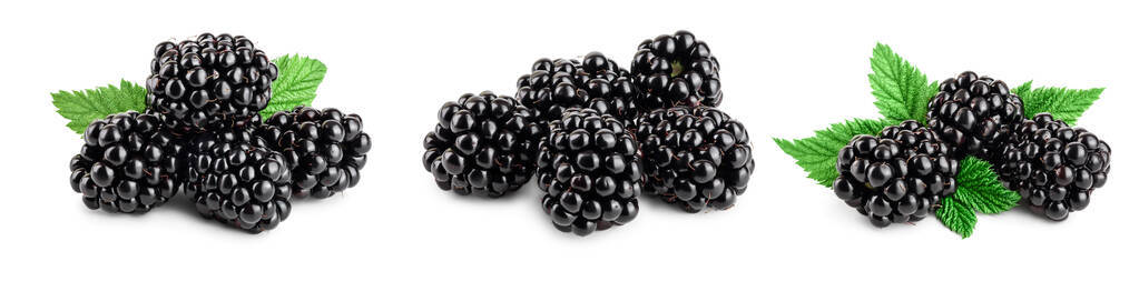 白色背景的黑莓。集合或集合
