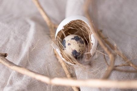 quail egg in nest made from egg in rustic beige colours monochro