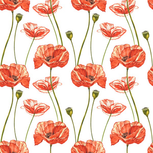 水彩红花。无缝图案。白色上孤立的野花。植物水彩插图，红色花束，乡村花。