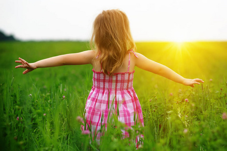  girl on the meadow 