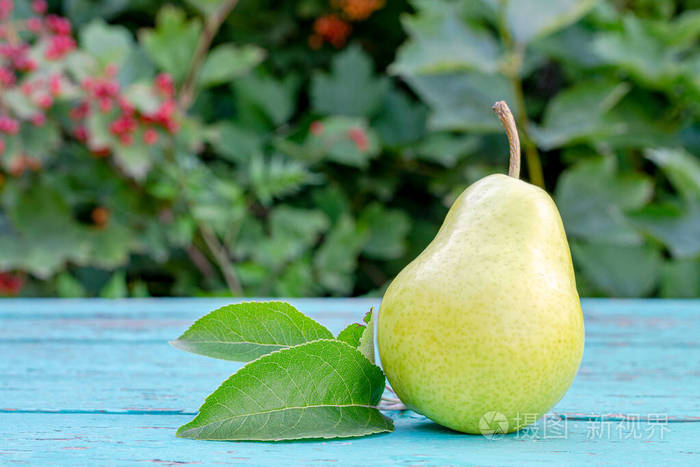绿松石表面的黄绿色梨特写复制空间