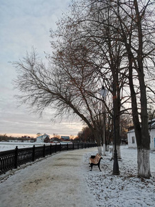长凳 自然 木材 天空 冬天