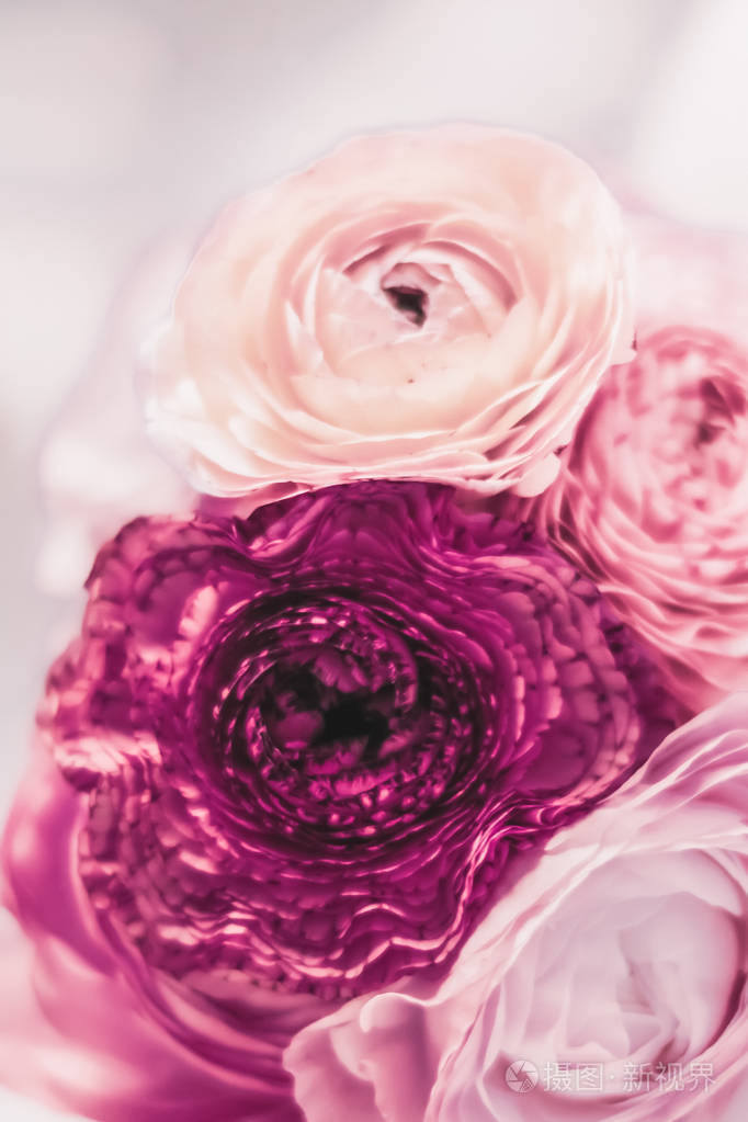 以盛开的玫瑰为背景的复古花束优雅的花朵