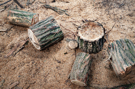 Cut old logs. Stack of logs. Stack firewood. Logs for the firepl