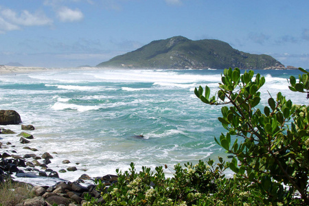 闪耀 闲暇 海洋 海滨 旅游 海滩 假期 假日 旅行 巴西