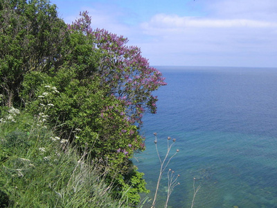 海湾 海岸 欧洲 旅行 海洋 风景 假期 夏天 旅游业 岩石