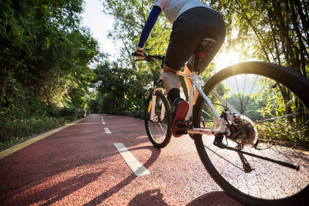 女运动员 骑自行车 旅行 追踪 徒步旅行 健身 公园 女人
