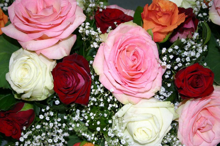 颜色 美丽的 美女 花瓣 婚礼 浪漫 自然 花束 花的 庆祝