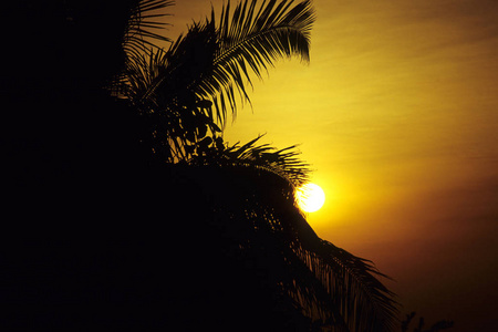 假期 假日 马尔代夫 海滩 闪耀 轮廓 苍鹭 可可 旅游