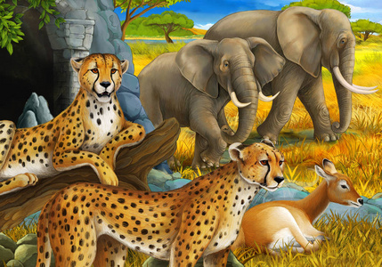 卡通场景与野生动物猎豹和大象在草地上为儿童插图