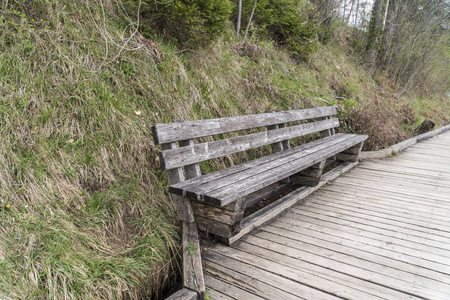 Empty old wooden bench at a park