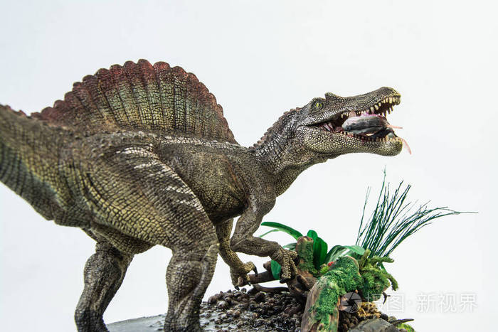 刺龙和它的食物恐龙在白色的背景