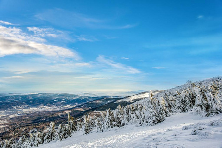 阿尔卑斯山 美丽的 滑雪 冬天 旅游业 假期 天气 旅行