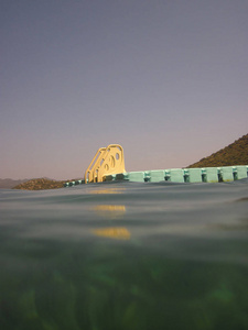 液体 暗礁 金属 潜水 动物 泡沫 水肺 在下面 海洋 绿松石