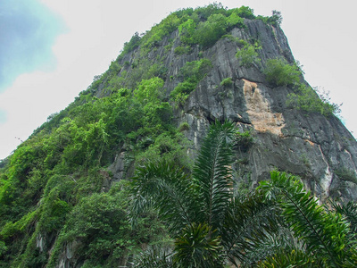 泰国Phatthalung的新鲜绿色山