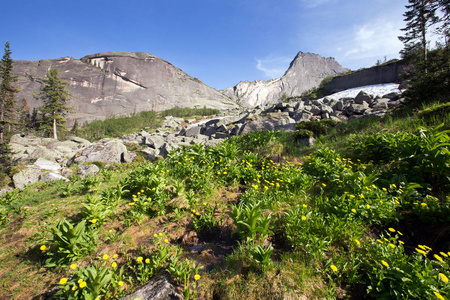乌龟山在额尔加基山西萨延图片