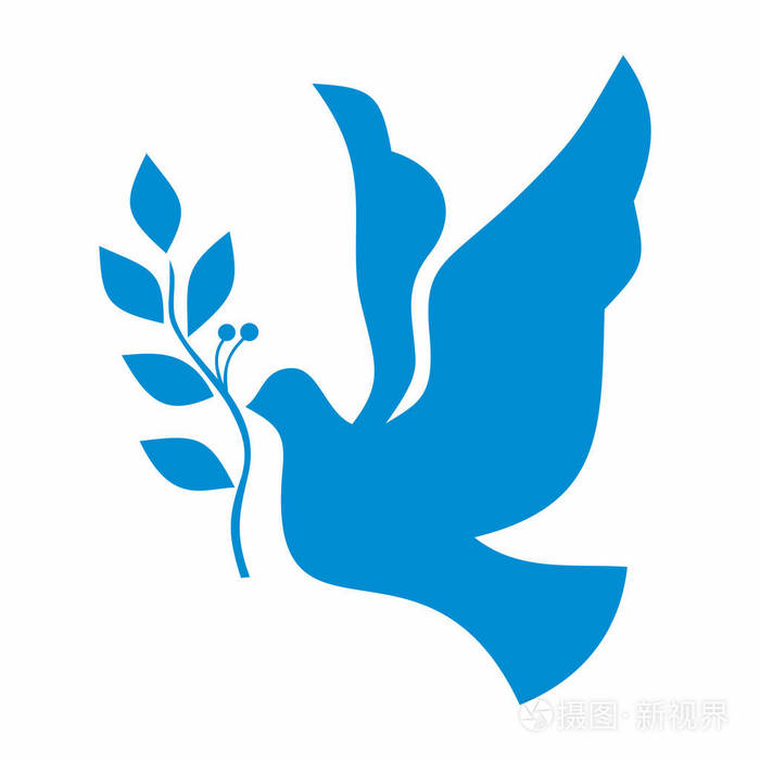 和平鸽孤立在白色上世界的象征