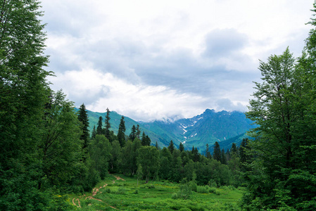 这座山的全景。高山草甸。有云的天空