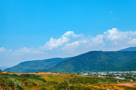 山景松林