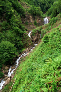 山里的河流。大水从山上流下来