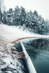 第一场雪覆盖了森林里的河流。