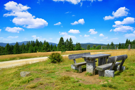 土地 美女 乡村 森林 草地 长凳 小山 环境 风景 春天