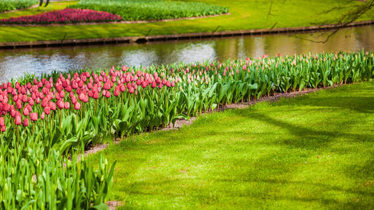 Beautiful park garden in spring.  Formal Garden 