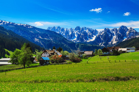 Green, spring alpine meadow on the background of snowy peaks in 