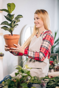 花盆里有植物的漂亮女士