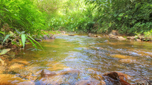 泰国法塔隆自然公园的溪水