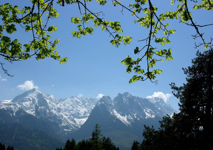 风景 山谷 全景图 春天 岩石 夏天 高的 薄雾 阿尔卑斯山