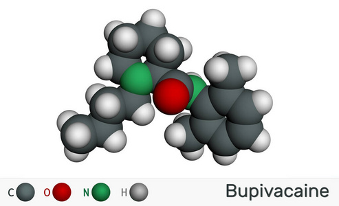 Bupivacaine molecule, is an amidetype, longacting local anesth