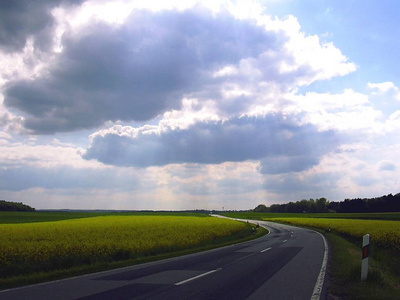 路线 旅行 森林 领域 自然 天气 国家 风景 天空 运输