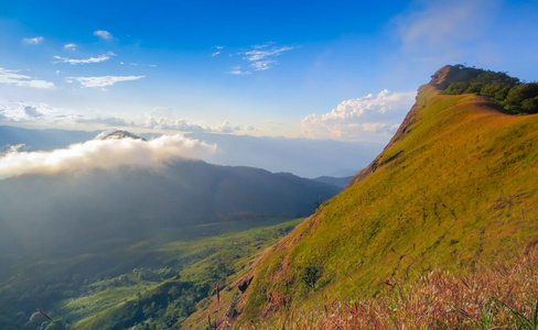 泰国清迈蒙戎山顶的新鲜绿地图片