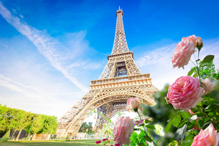 埃菲尔铁塔之旅与巴黎城市景观
