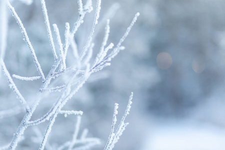 冻结 孤独 鳞片 场景 圣诞节 冷冰冰的 十二月 新的 晶体